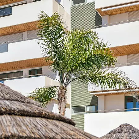 Aquamar Pro 403